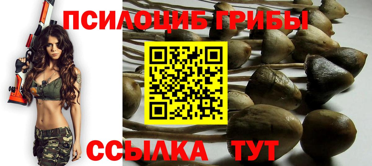 Псилоцибиновые грибы MAGIC MUSHROOMS Кинель