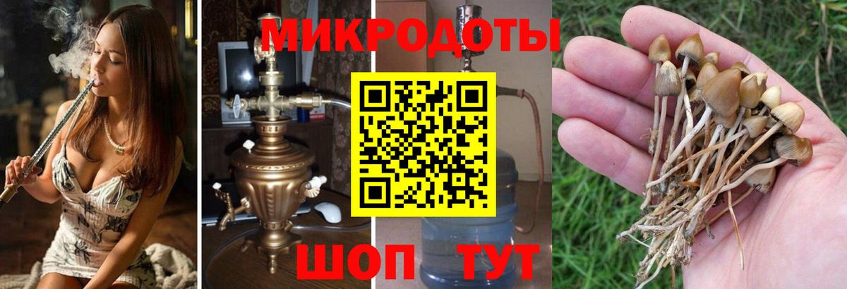 Псилоцибиновые грибы Magic Shrooms  Вход с VPN  Кинель 
